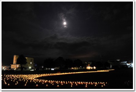 20090802-003.jpg