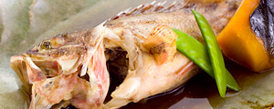 お魚満腹プラン