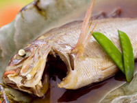 自家製野菜とお魚の炊き合わせ
