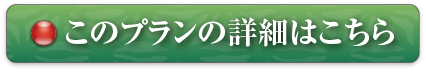 このプランの詳細はこちら