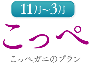 11月〜3月　こっぺがにのプラン