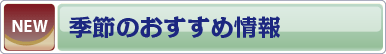 最新トピックス